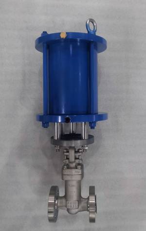 波紋管閥（fá）門產品展示